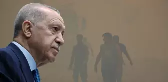 Cumhurbaşkanı Erdoğan'dan orman yangınlarıyla ilgili açıklama: Gece gündüz teyakkuz hâlindeyiz