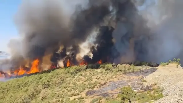 President Erdoğan's statement regarding the forest fires: We are on alert day and night