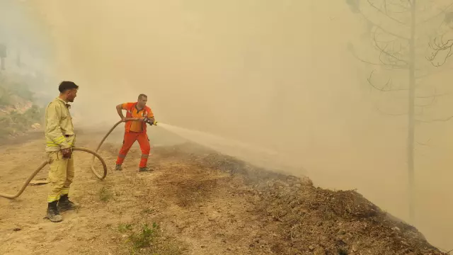 President Erdoğan's statement regarding the forest fires: We are on alert day and night