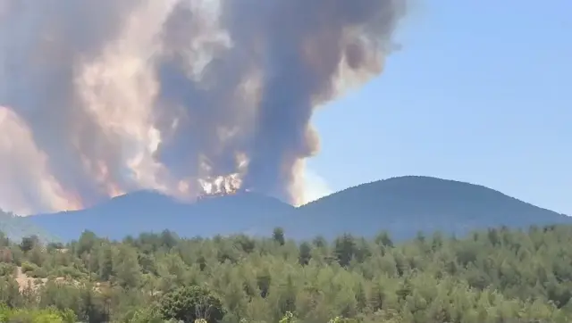 President Erdoğan's statement regarding the forest fires: We are on alert day and night