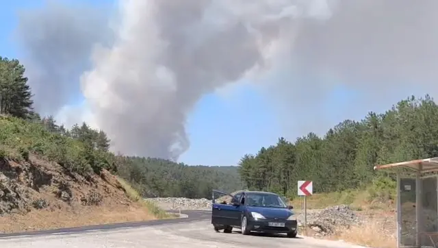 President Erdoğan's statement regarding the forest fires: We are on alert day and night