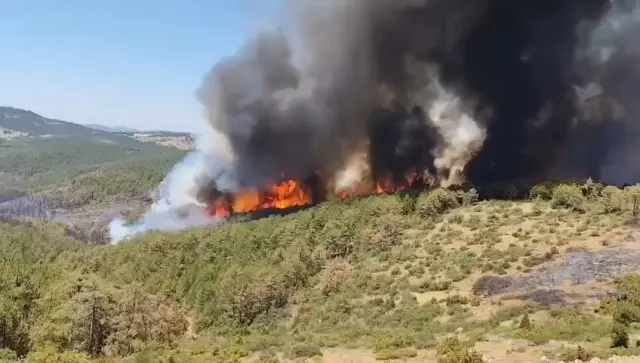 President Erdoğan's statement regarding the forest fires: We are on alert day and night