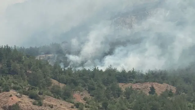 President Erdoğan's statement regarding the forest fires: We are on alert day and night