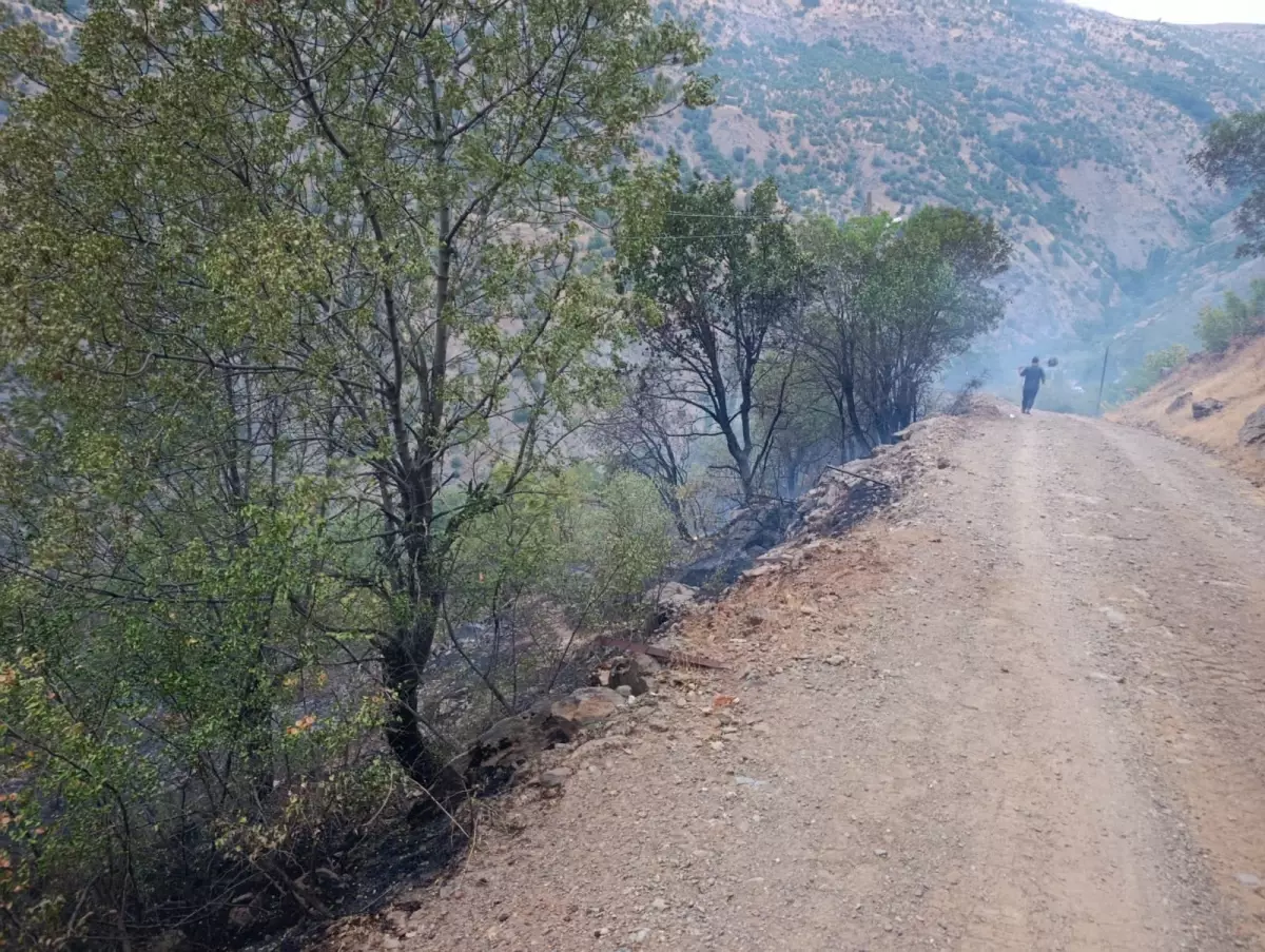 Elazığ'da Yangın Kontrol Altına Alındı