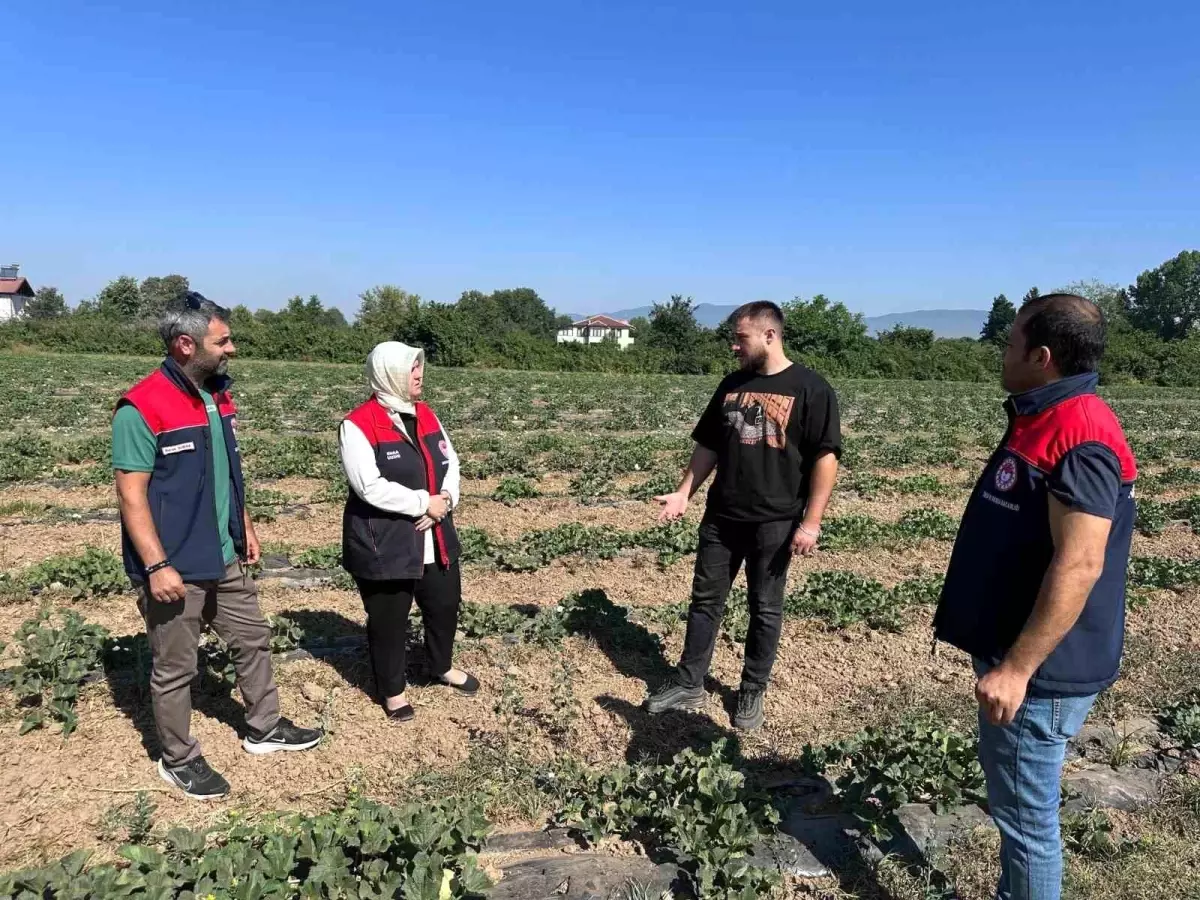 Düzce'de Üniversite Öğrencisi Genç Çiftçi Öne Çıkıyor
