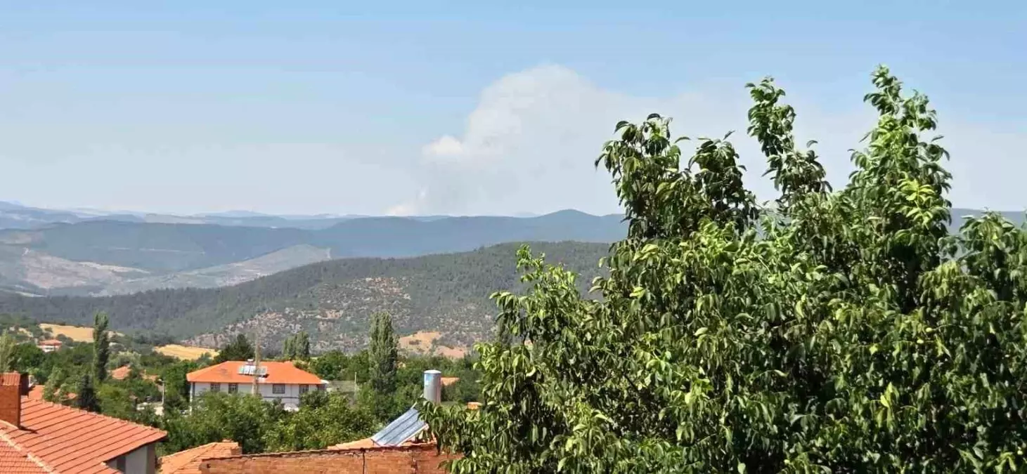 Bursa'da Orman Yangını İkinci Gününde Büyüyor