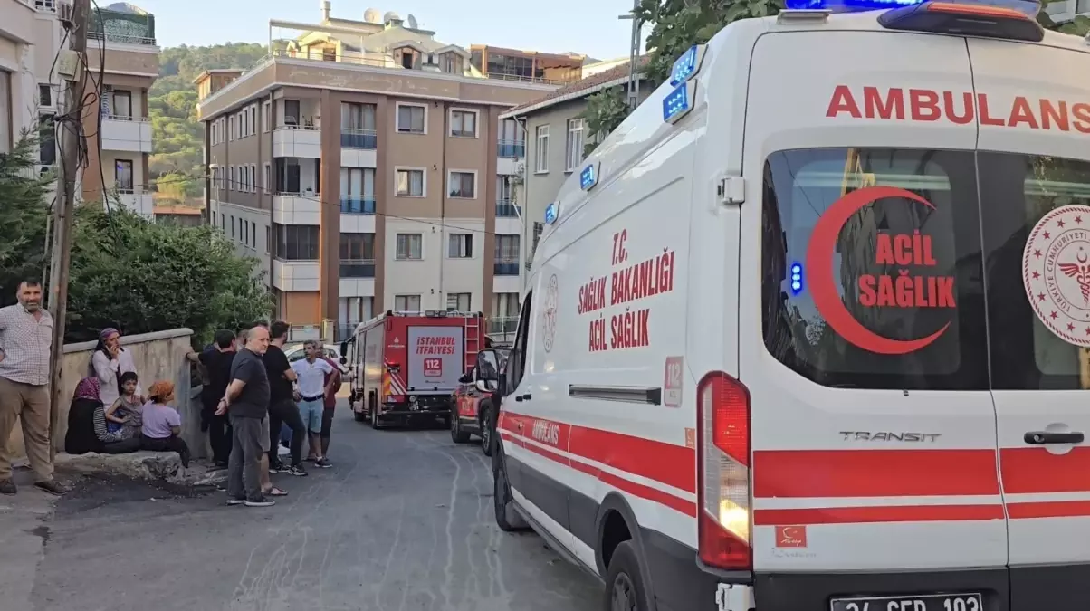 Maltepe'de Trafik Kazası: 72 Yaşındaki Kadın Hayatını Kaybetti