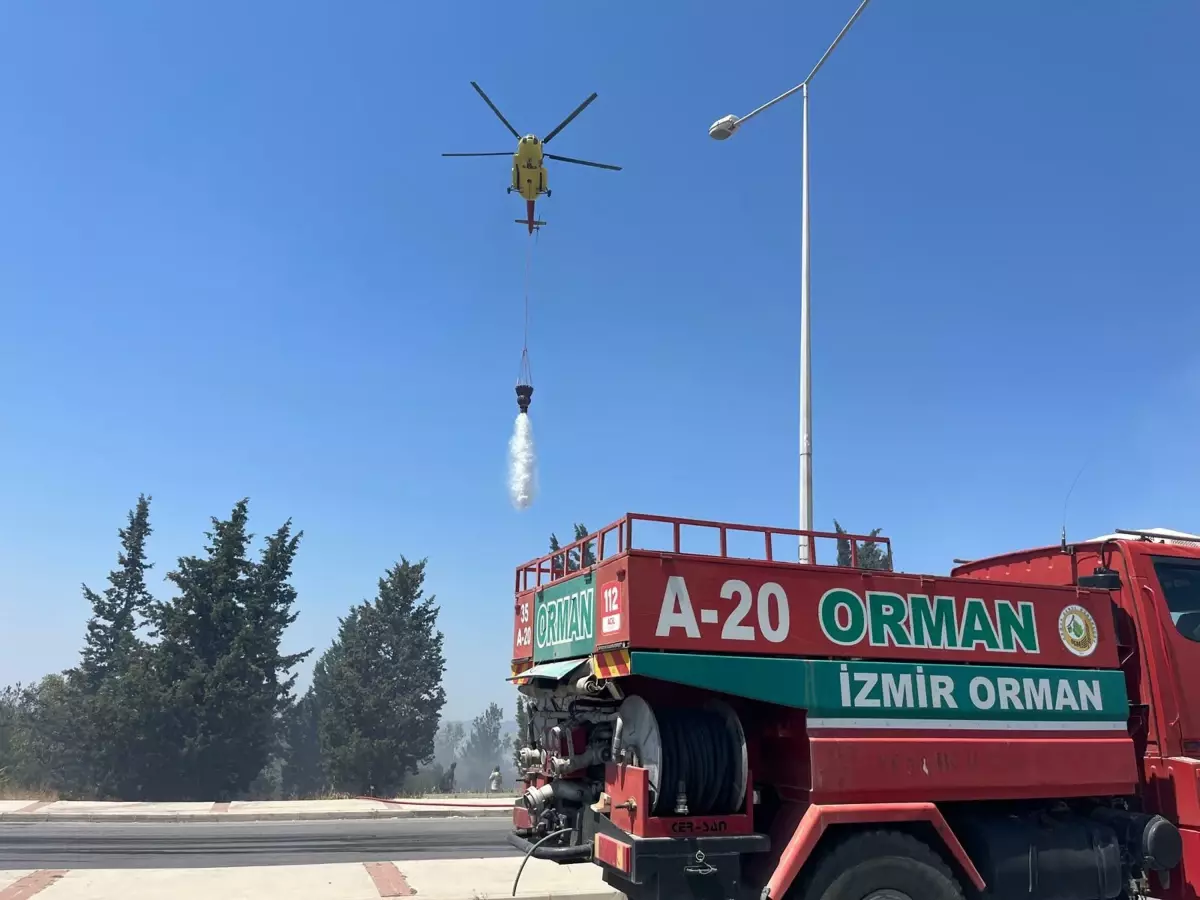 İzmir Buca'da Orman Yangını: Ekipler Mücadele Ediyor