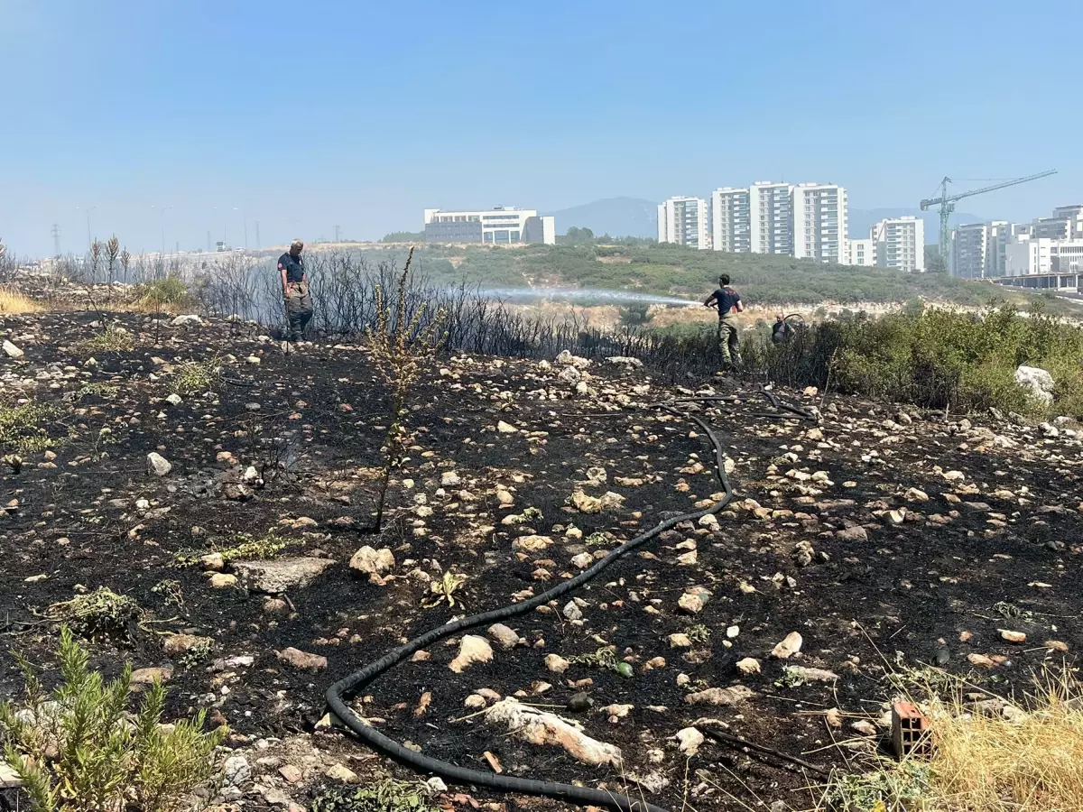 İzmir'deki Orman Yangını Kontrol Altına Alındı