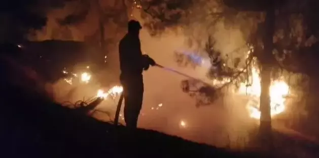 Forest Fire in Kahramanmaraş: 3 Houses Burned, 18 Houses Evacuated