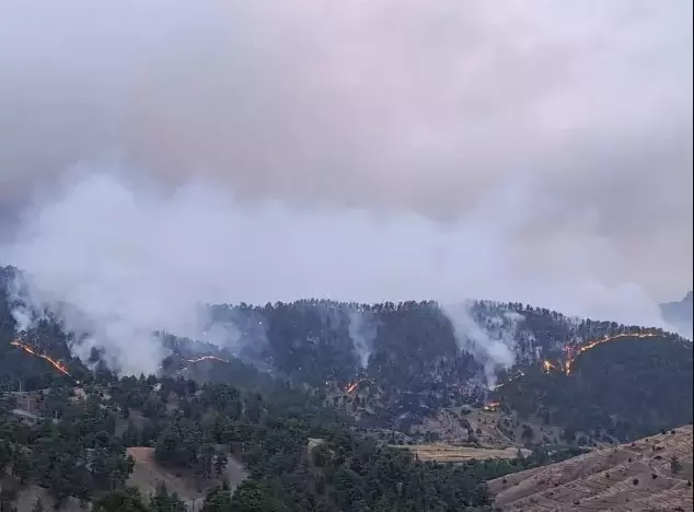 Forest Fire in Kahramanmaraş: 3 Houses Burned, 18 Houses Evacuated