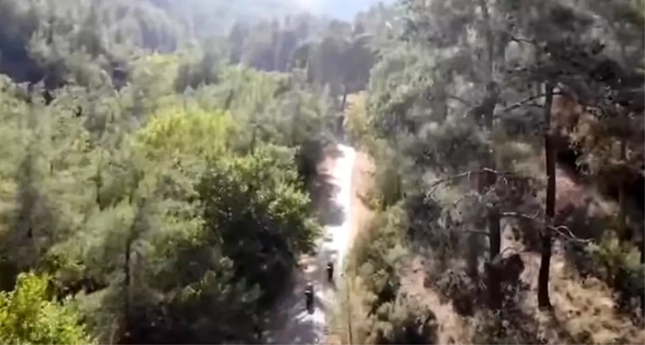 Aydın'da Sıcaklık 46 Dereceyi Buldu, Orman Yangınlarına Karşı Uyarılar Yapıldı