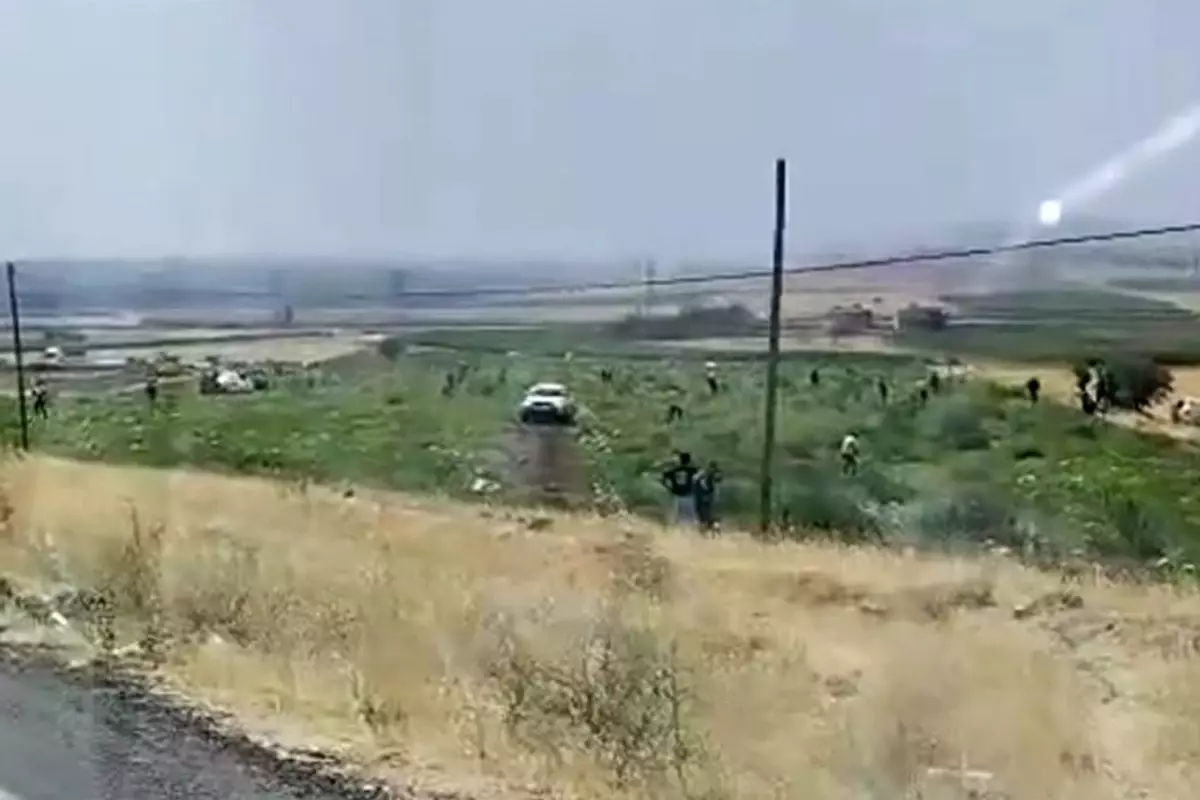 Karpuz tarlası sahibi karşılaştığı manzara karşısında şoke oldu