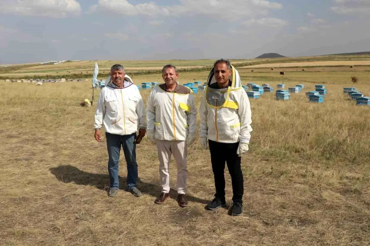 Kars'ta 2025 Yılı İçin 1800 Ton Bal Rekoltesi Bekleniyor
