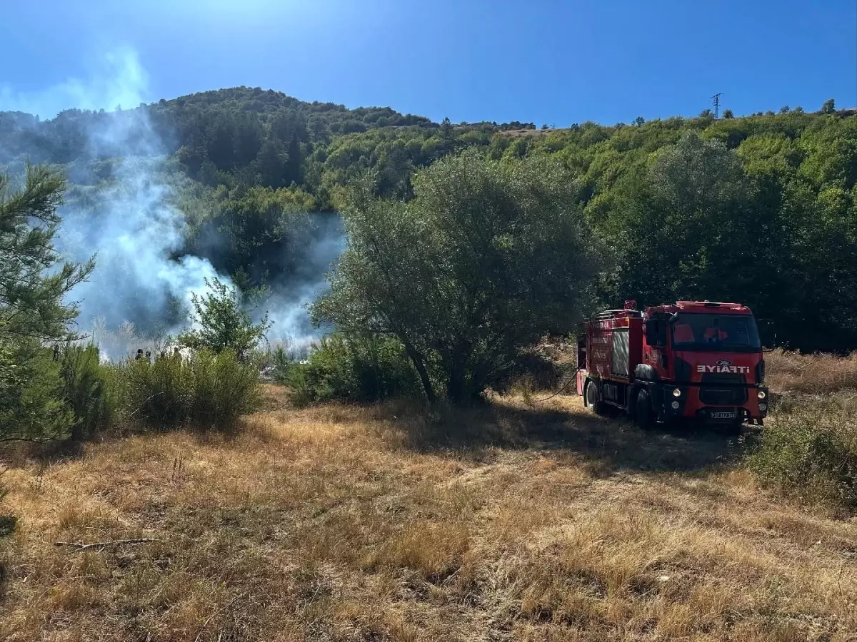 Kastamonu Pınarbaşı'ndaki Orman Yangını Hızla Söndürüldü