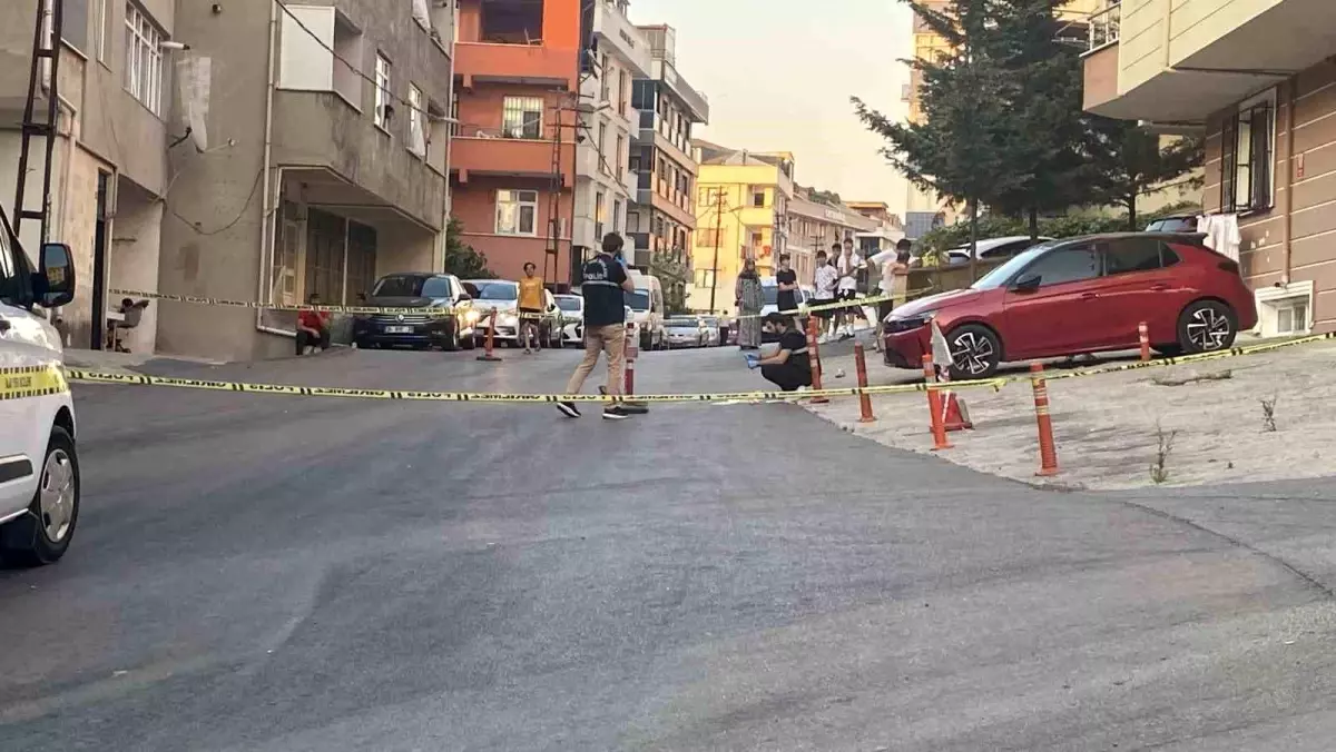 Maltepe'de Kamyonet Kazası: Yürüyen Kadın Hayatını Kaybetti