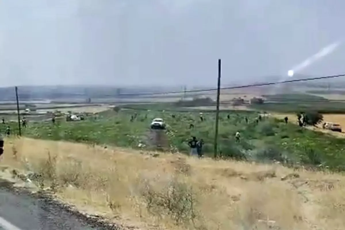 Mardin'de karpuz tarlası sahibi karşılaştığı görüntü karşısında şoke oldu
