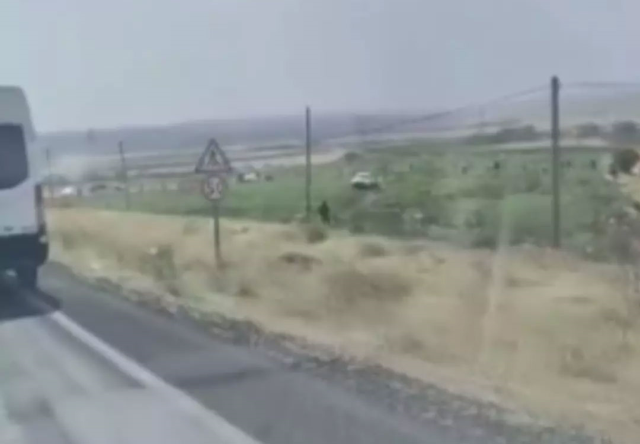The owner of the watermelon field in Mardin was shocked by the sight he encountered
