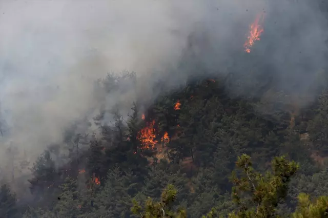 The latest on forest fires: flames have intensified again in a district of Bursa