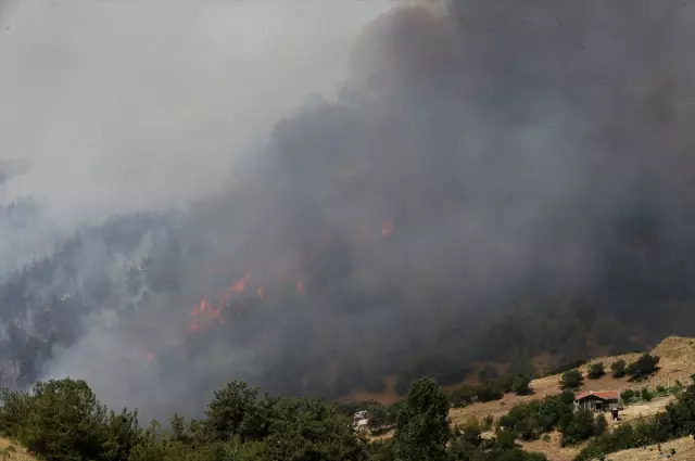 The latest on forest fires: flames have intensified again in a district of Bursa