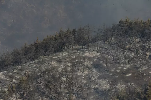 The latest on forest fires: flames have intensified again in a district of Bursa