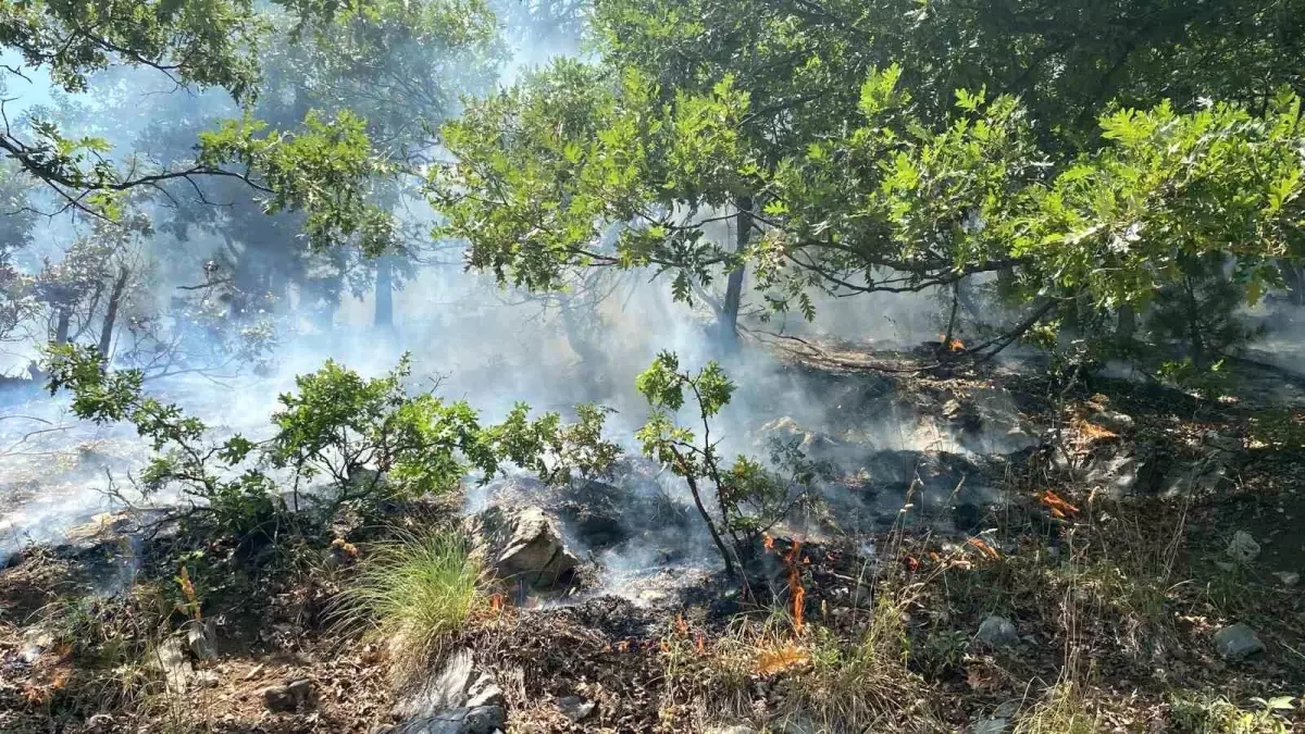 Osmaniye'de Alıç Yaylası'nda Orman Yangını
