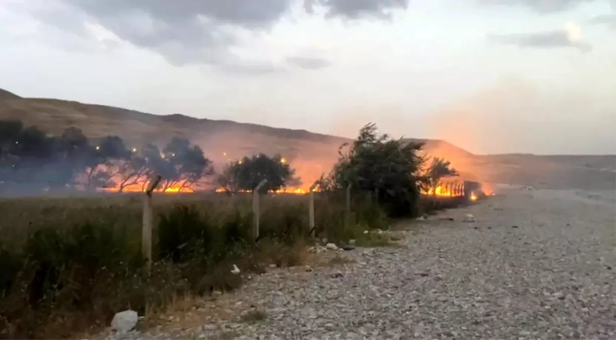Tuşba'da Ağaçlık Alanda Yangın, İtfaiye Ekiplerinin Mücadelesiyle Söndürüldü