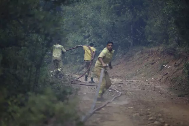 The current state of Karabük, where 72% is covered by forests, is heartbreaking
