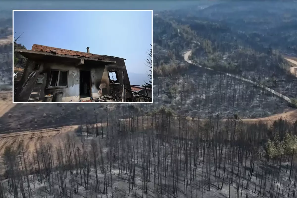 Yüzde 72'si ormanla kaplı Karabük'ün son hali yürek yakıyor