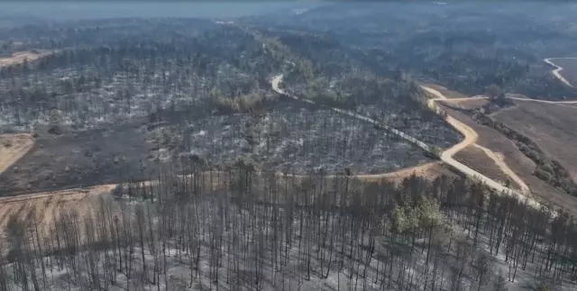 The current state of Karabük, where 72% is covered by forests, is heartbreaking