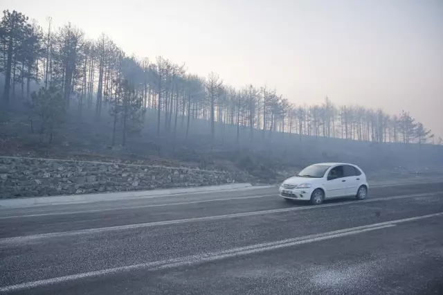 Suspicion of sabotage in Bursa, which has been burning for 3 days! Striking words from the mayor