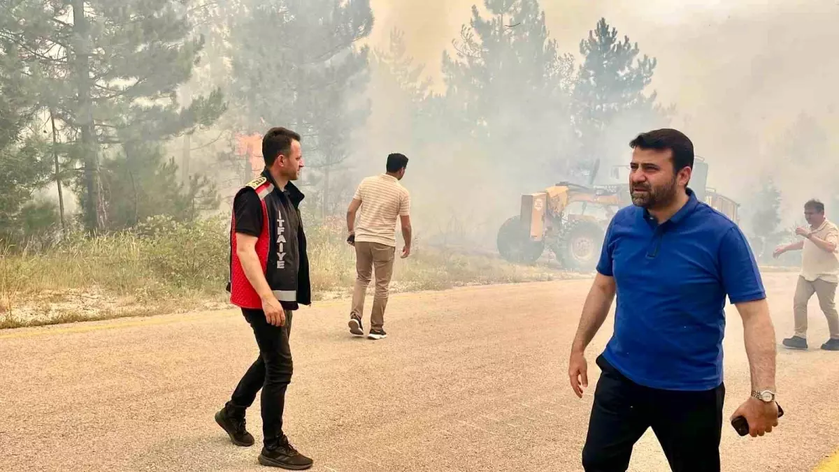 Karabük'te Orman Yangını: Tarihin En Büyük Afeti