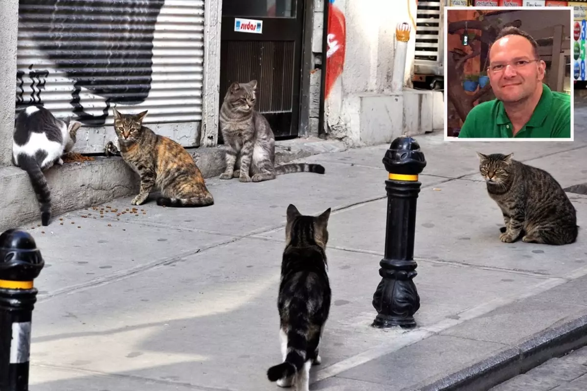 Akciğerine kedi tüyü kaçan adam hayatını kaybetti