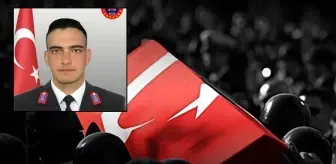 Ali Yerlikaya duyurdu! Şırnak'tan kahreden haber