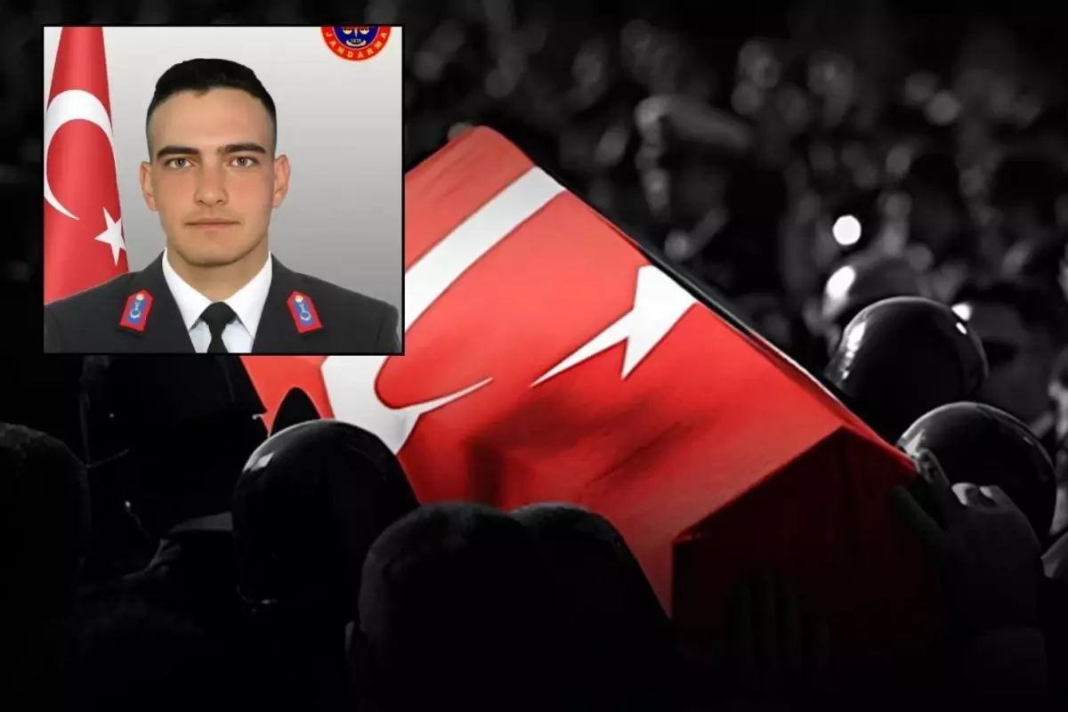 Ali Yerlikaya duyurdu! Şırnak'tan kahreden haber