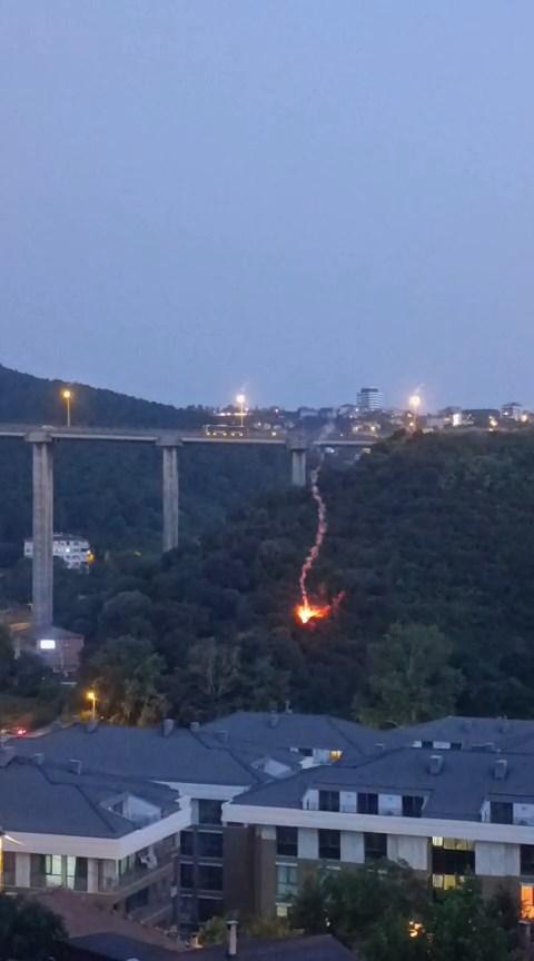 A fire broke out in a forested area in Beykoz