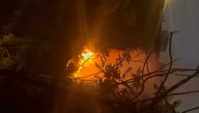 A fire broke out in a forested area in Beykoz