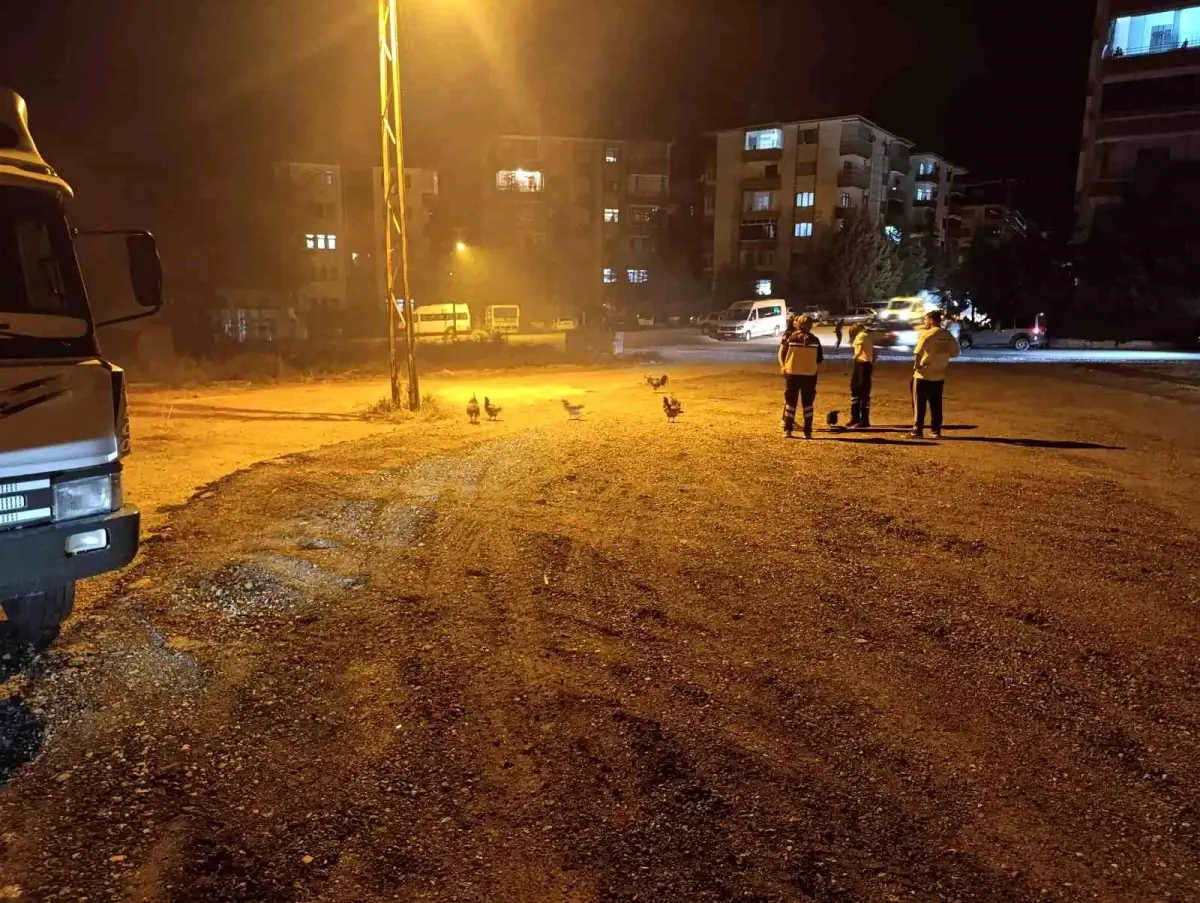 Beypazarı'nda Kümeste Çıkan Yangında 41 Tavuk Telef Oldu
