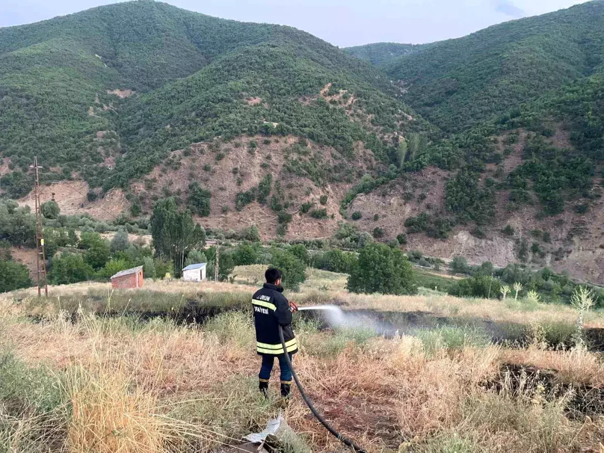 Bingöl'de Çıkan Örtü Yangını Kontrol Altına Alındı