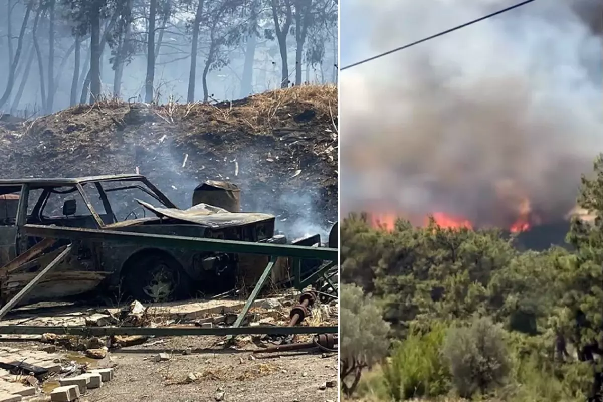 Bir orman yangını da İzmir'de! Bornova'da başlayıp Buca'ya sıçradı