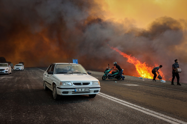 A forest fire has also started in İzmir! It started in Bornova and spread to Buca