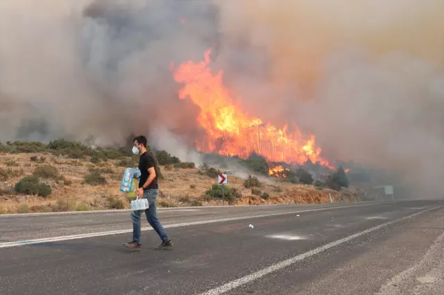 A forest fire has also started in İzmir! It started in Bornova and spread to Buca