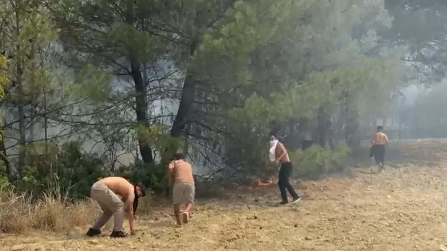 A forest fire has also started in İzmir! It started in Bornova and spread to Buca