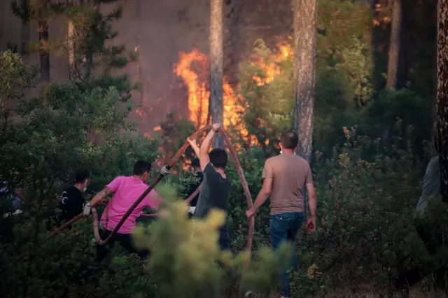 A forest fire has also started in İzmir! It started in Bornova and spread to Buca