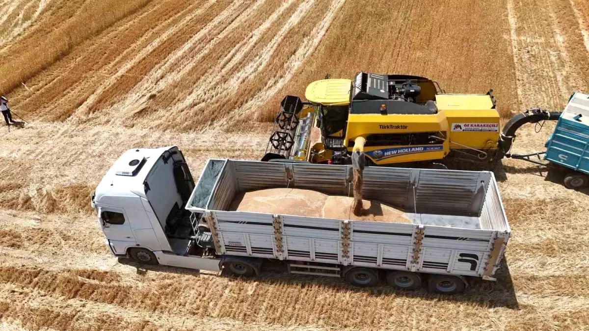 Bitlis'te 2025 Hasat Sezonu Beklentisi: 20 Milyar TL Gelir