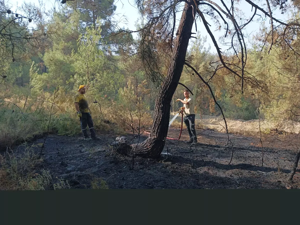 Bursa'da Orman Yangınlarına Müdahale Devam Ediyor