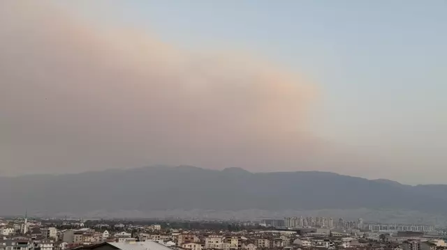 The Smoke from the Forest Fire in Bursa Reached the City Center