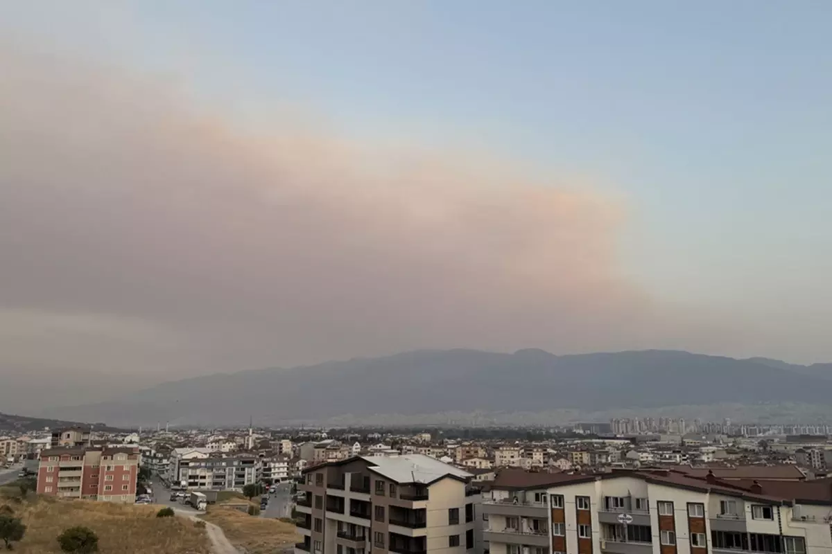 Bursa'daki orman yangınının dumanı kent semalarına ulaştı