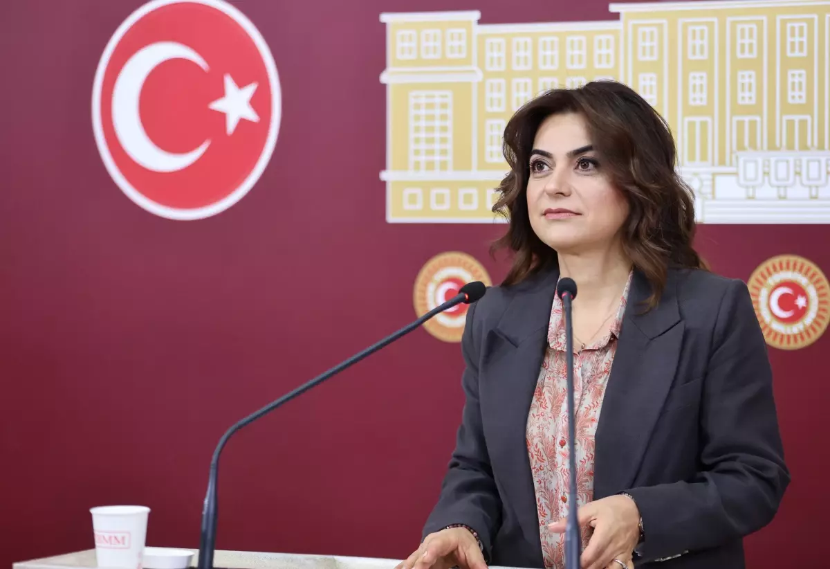 Koçyiğit: 'Terörsüz Türkiye' Sürecinde Demokratikleşme Şart