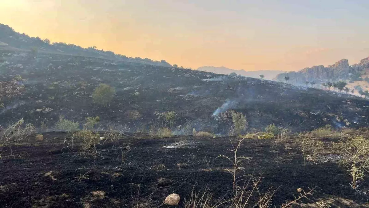 Diyarbakır'da Merada Çıkan Yangın Ormana Sıçradı